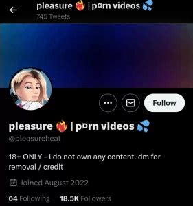 onlyfans twotter|40+ Best Twitter Porn Accounts (December 2024) [100